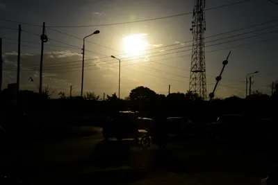 DSC_7998 (Large).JPG